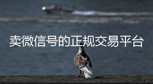 卖微信号的正规交易回收微信在线交易平台（卖微信号的正规交易平台是哪个）