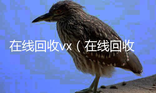 在线回收v24小时收微信秒结x（在线回收号价格）