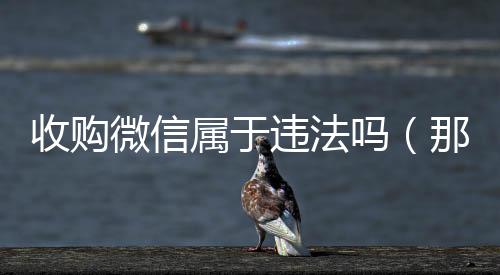 收购微信属于违法吗24小时回收vx（那些高价收购微信的是干什么的）